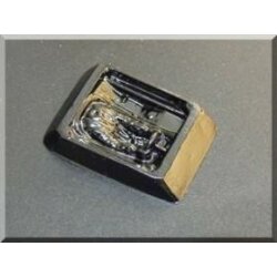 Lexaninlet 1:24 Offene Prototypen/CanAm