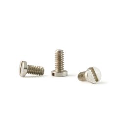 Engine Lock screws(10) Smaller M2x4 f. 127xx  NSR 4856