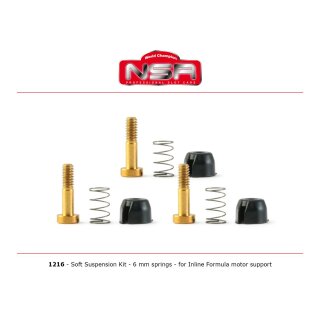 Suspension Kit for motor mount  NSR128X Formula  SOFT   nsr 1216