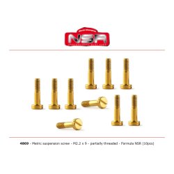 Metric suspension  screwsM2.2 x 9mm  (10) f&uuml;r Formula
