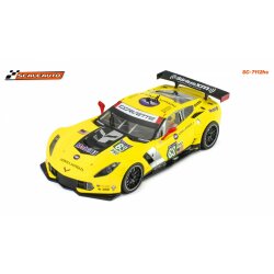 Corvette C7R Le Mans 2015 Nr.63 painted version in race...