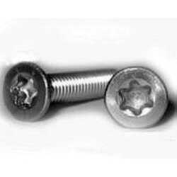 Schraube  TORX&reg; A2 M2x4 DIN965 Senkkopf (10)