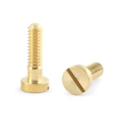 screws Metric Body (10)  M2.2x8mm  NSR4836